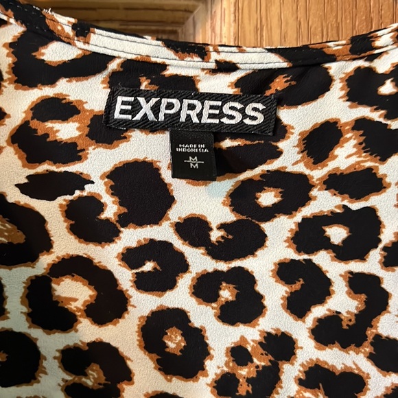 Express - Picture 3 of 3